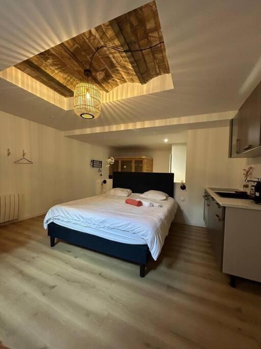 Cellar- Appartement Sous-Sol Atypique Reims Exterior foto